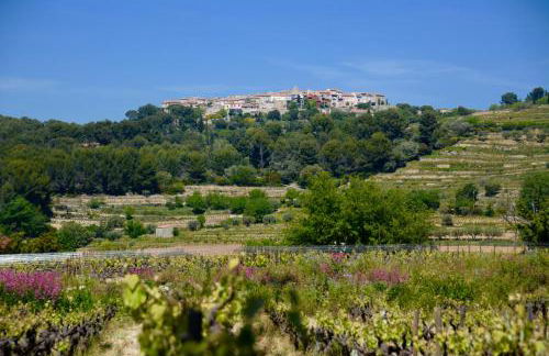 Mas Misajail - Foto 12