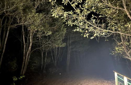 Apartamento con encanto y vistas panoramicas, Stevier - Foto 7