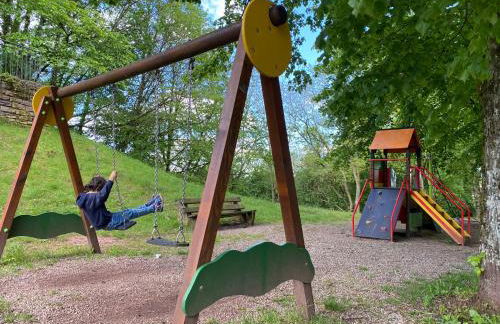 LA VILLA DES OISEAUX - La Petite Pierre - Foto 59