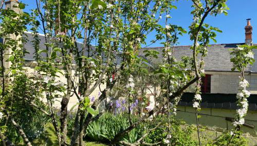 Logis huit clos calme et romantique proche Saumur - Photo 2