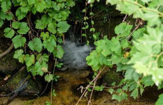 Casa Ponte da Vessada - Foto 49