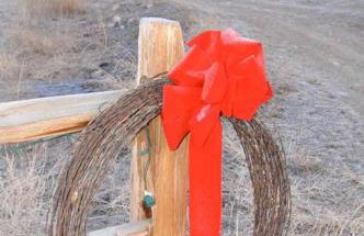 Peach Valley Retreat - Foto 10