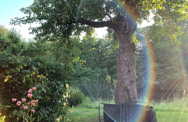 Villa Maria Garden Cottages - Foto 18