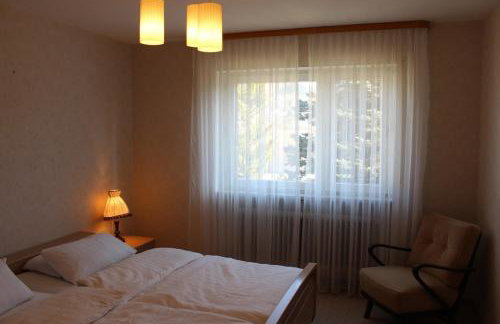 Elsa's Waldnest-Nähe Fichtelsee - Foto 5