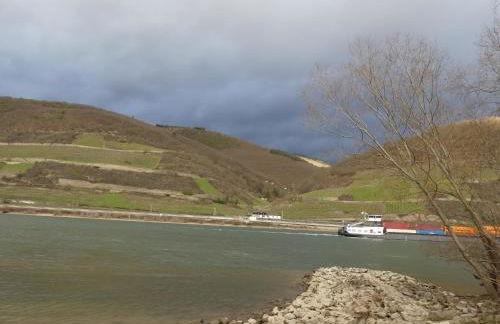 ChristRose - Foto 19