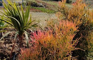 Villa Leyland - Foto 33