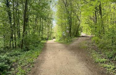 Charmantes 2-Etagen Häuschen- Köln-Phantasialand - Foto 28