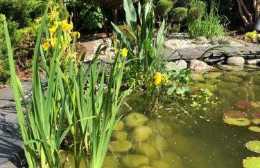 Mazury na Śląsku - Dom Wakacyjny z basenem - Foto 43