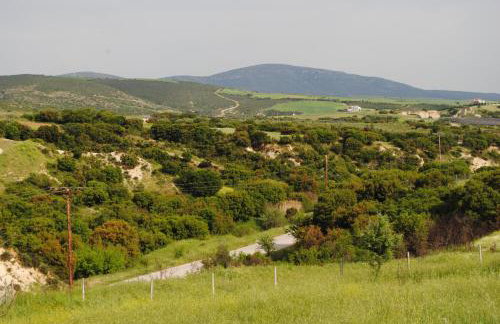 Daniil's luxury villa and spa - Photo 26