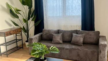 Appartement en duplex - M4 et RER B Arcueil-Cachan - Foto 2