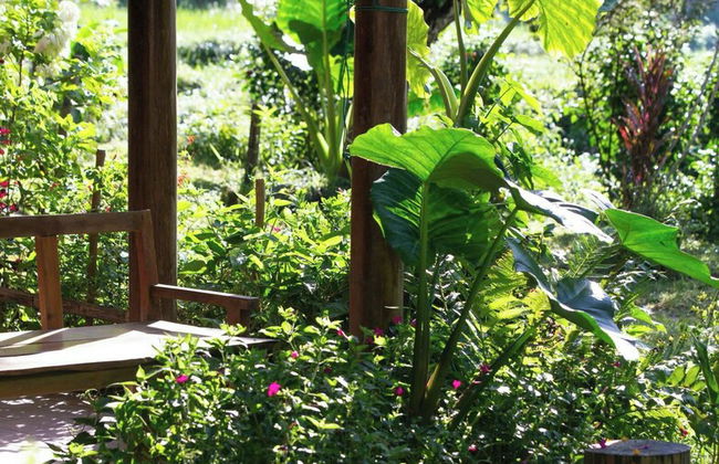 Thai House Pu Luong - Foto 53