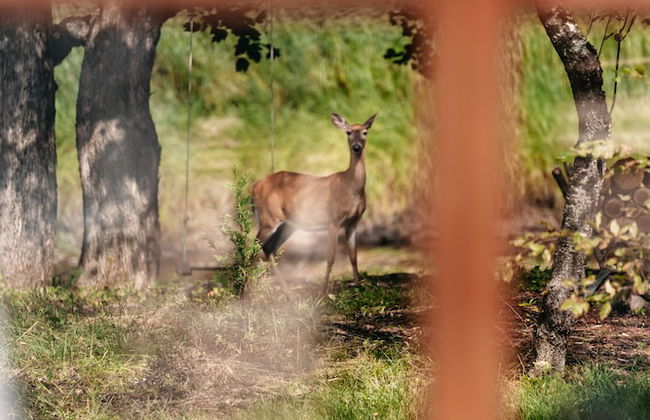 FlowEdge Riverside Getaway - Photo 40