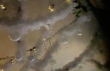 Cœur du vieux Lyon et zone de loisir - Foto 12