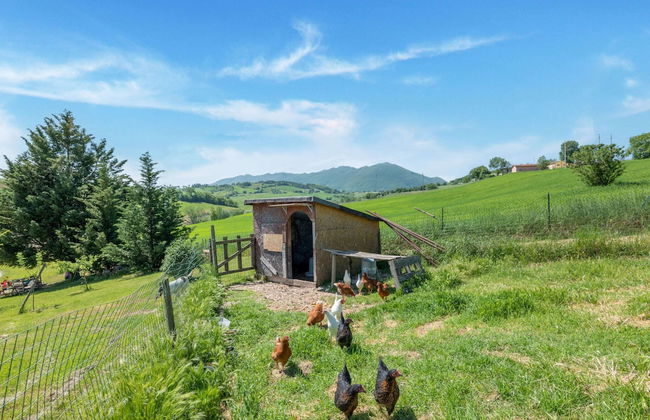 Country Escape in Matelica - Foto 29