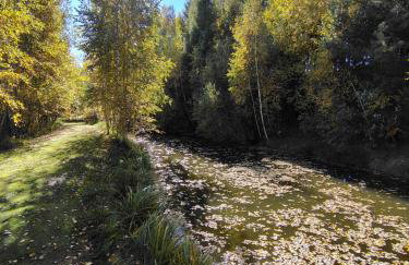 Kolorowe Wzgórze Zagórze - Foto 46