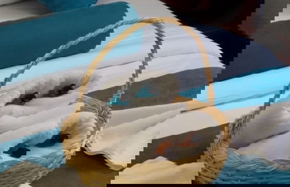 maşukiye dream homes - Foto 16