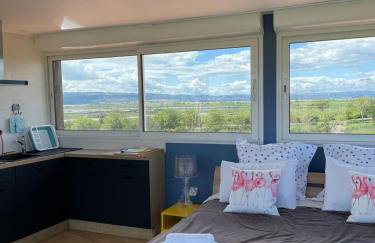 Domaine du Petit Tournebelle - Foto 65