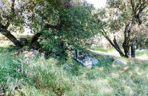 Charming Downstairs Unit - Foto 35