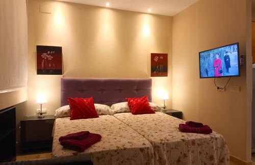 Flamencos del cerrado - Photo 26