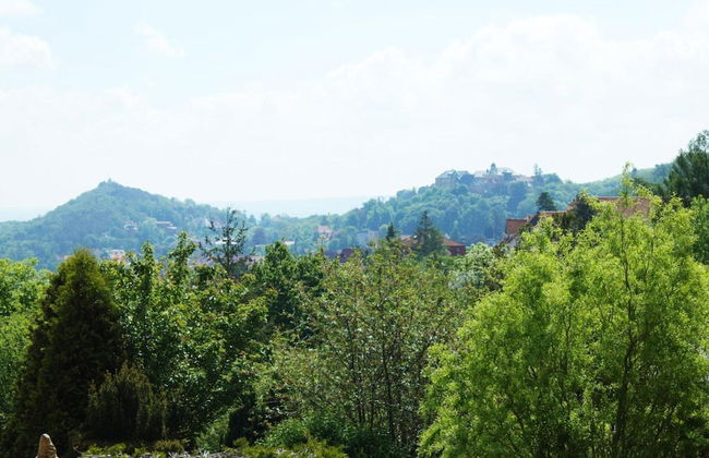 Comfort Near Castle Views - Foto 27