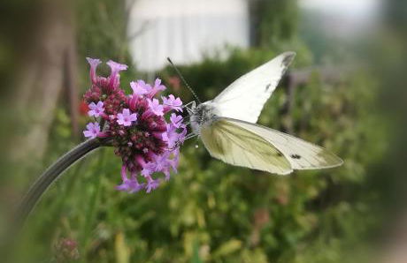 Cà Nostra B&B Home Restaurant - Photo 39