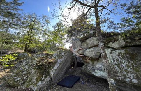 Gîte Le Carpe diem Milly-la-Forêt - Foto 39