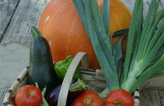 Quinta do Arade - casa 4 pétalas - Foto 22