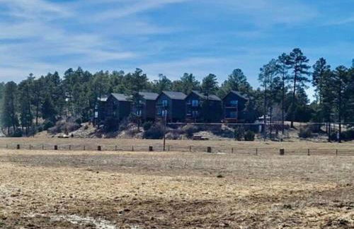 Penthouse Suite at Meadow View! - Foto 30