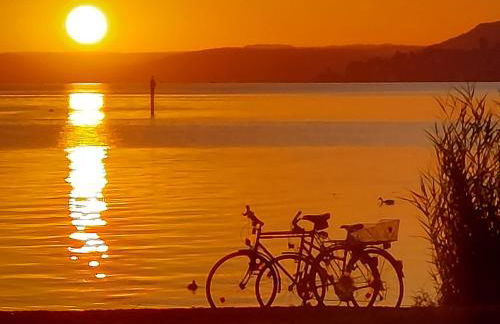 R7 Bodensee mit Seesicht sonnig ruhig groß - Foto 28