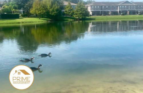 Cozy 4bdhome By Lake Prime Location Disney - Foto 31