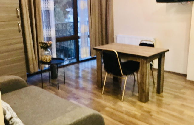 My flat near METEKHI - Foto 37