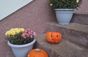 Ferienwohnung am grünen Haus - Foto 2