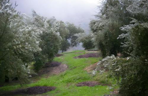 Finca Rústica La Pájara - Foto 20