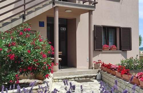 Apartman Gina - Photo 35