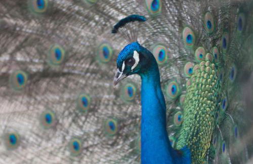 Agriturismo Arte Contadina - Foto 32