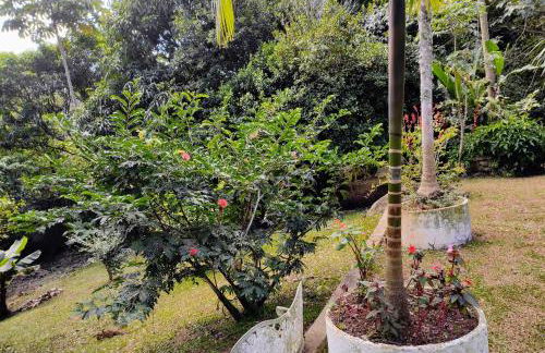 La Bella Fiore - Foto 32