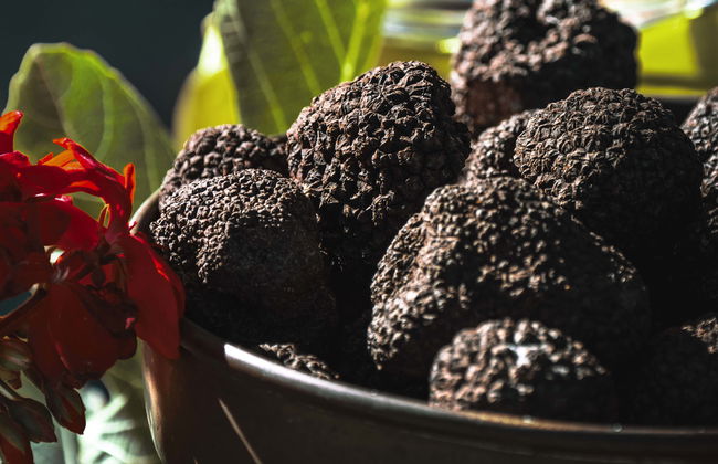 Visite gastronomique dans l'Istrie - Photo 3