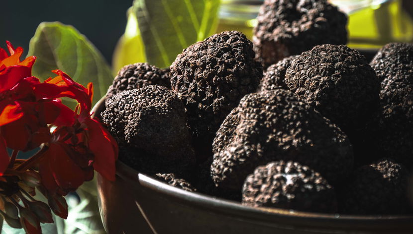 Visite gastronomique dans l'Istrie