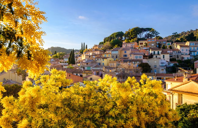 4 bedroom House in Bormes-les-Mimosas with private pool and garden - Photo 38