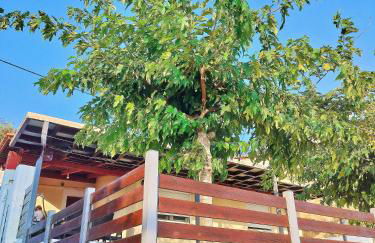 Beach front house at Agios Ilias Pyrgos Near Ancient Olympia - Photo 17