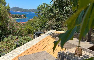 Villa Đardin - Foto 42