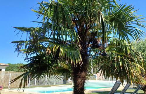 Le Fief des Roses - Foto 8