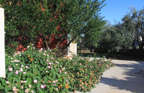 Apartments by the sea Ugljan - 348 - Foto 14