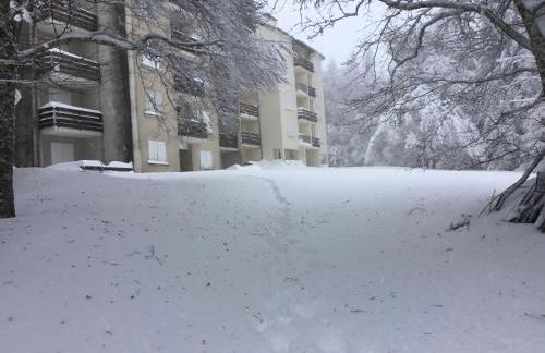 Lo Cantalés d’Aubrac - Photo 19