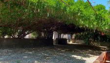 STELLA MARIS A - Foto 4