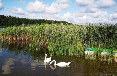 Apartamenty Mazurskie Klimaty (Cud Natury) - Foto 15