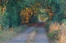 La Tour du Boueix - Foto 6