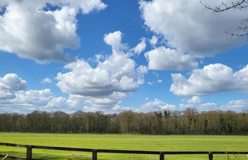 Jersey Cottage - Foto 14