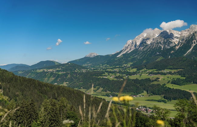 Aparthaus Taxegger - Foto 24