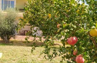 Ktima Anastasia - Foto 19